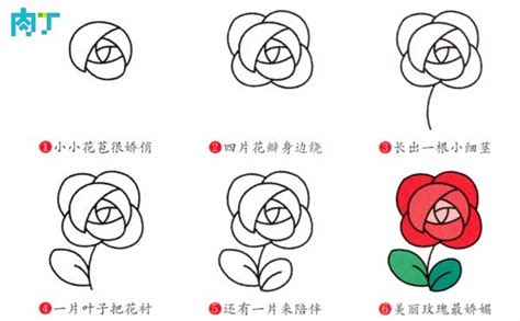 七 数字 玫瑰花畫圖